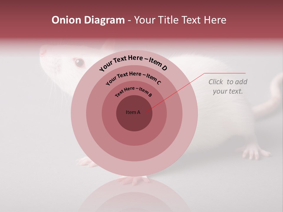 Pet Rodent Pest PowerPoint Template