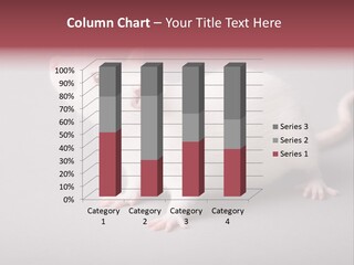 Pet Rodent Pest PowerPoint Template