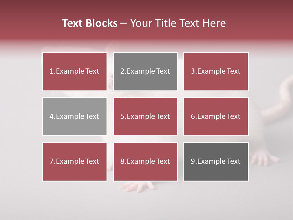 Pet Rodent Pest PowerPoint Template