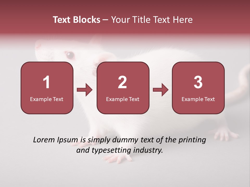 Pet Rodent Pest PowerPoint Template