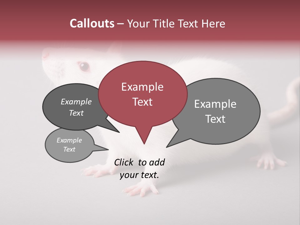 Pet Rodent Pest PowerPoint Template