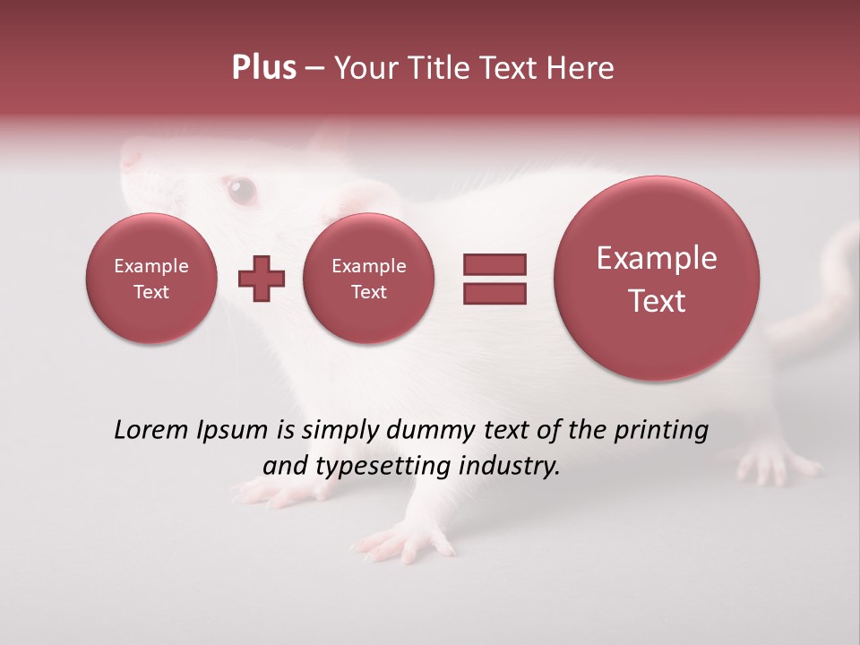 Pet Rodent Pest PowerPoint Template