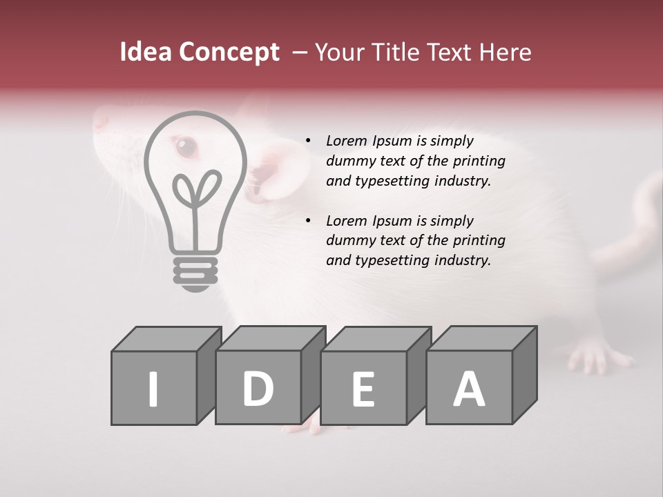 Pet Rodent Pest PowerPoint Template