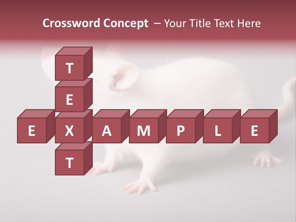 Pet Rodent Pest PowerPoint Template