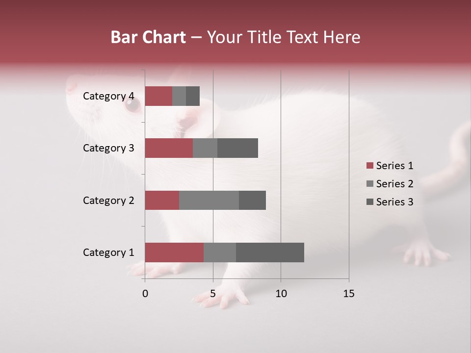 Pet Rodent Pest PowerPoint Template