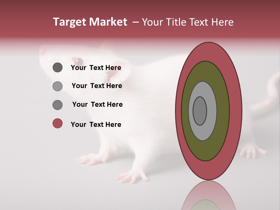 Pet Rodent Pest PowerPoint Template