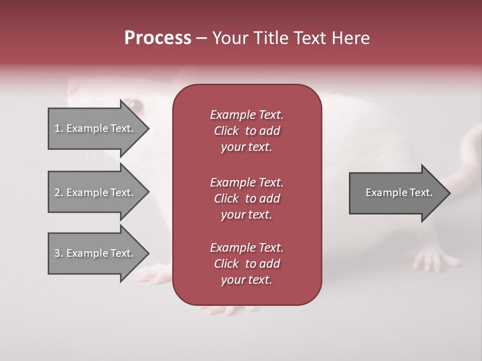 Pet Rodent Pest PowerPoint Template