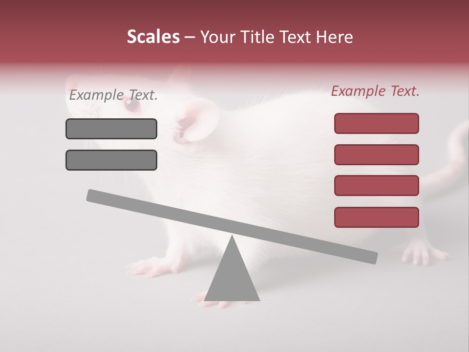 Pet Rodent Pest PowerPoint Template