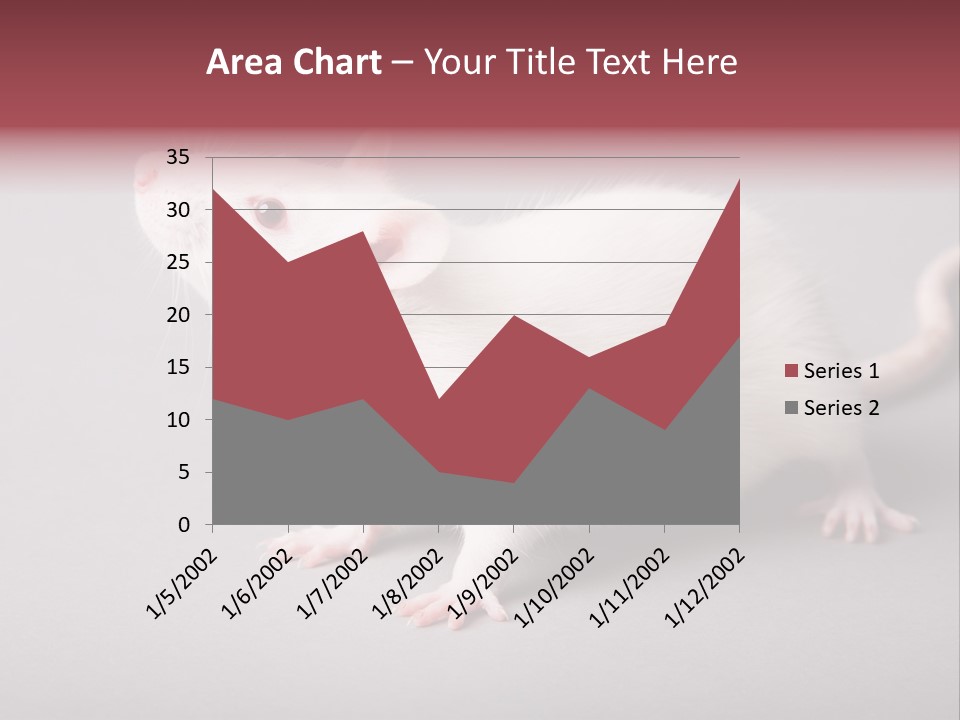 Pet Rodent Pest PowerPoint Template