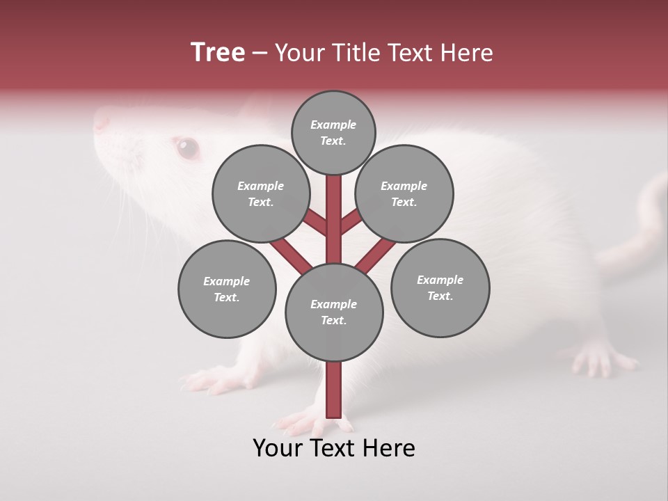 Pet Rodent Pest PowerPoint Template