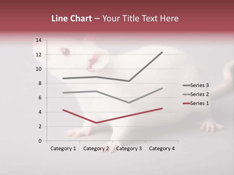 Pet Rodent Pest PowerPoint Template