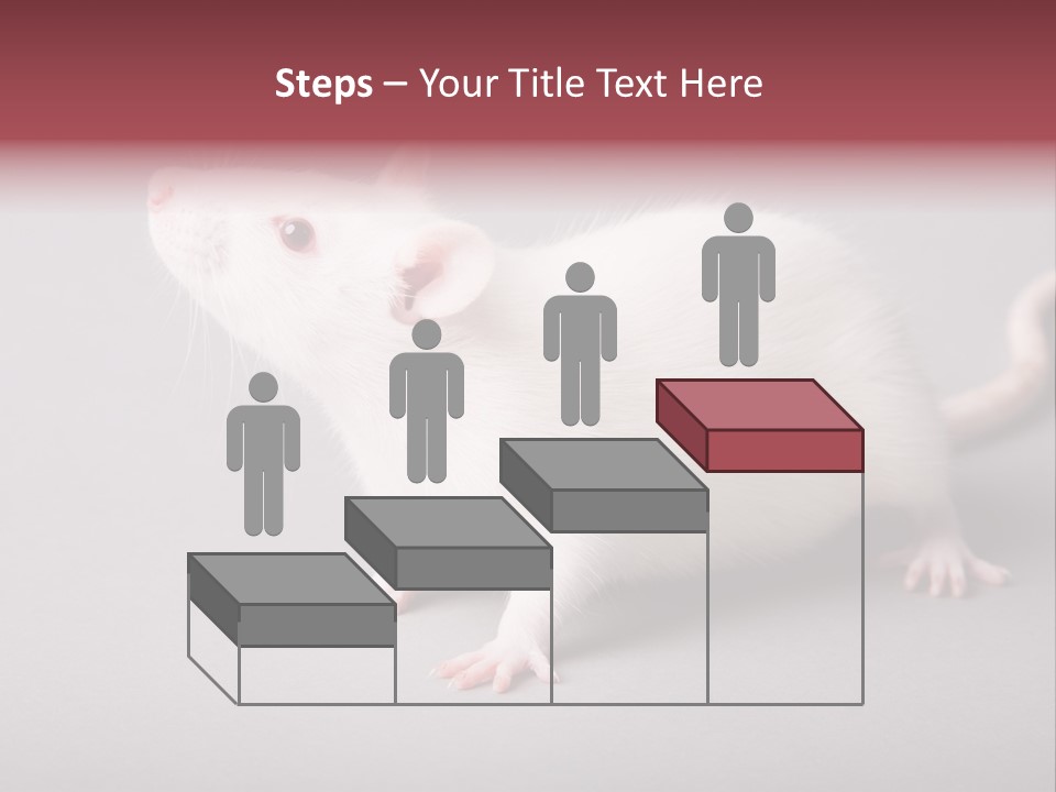 Pet Rodent Pest PowerPoint Template