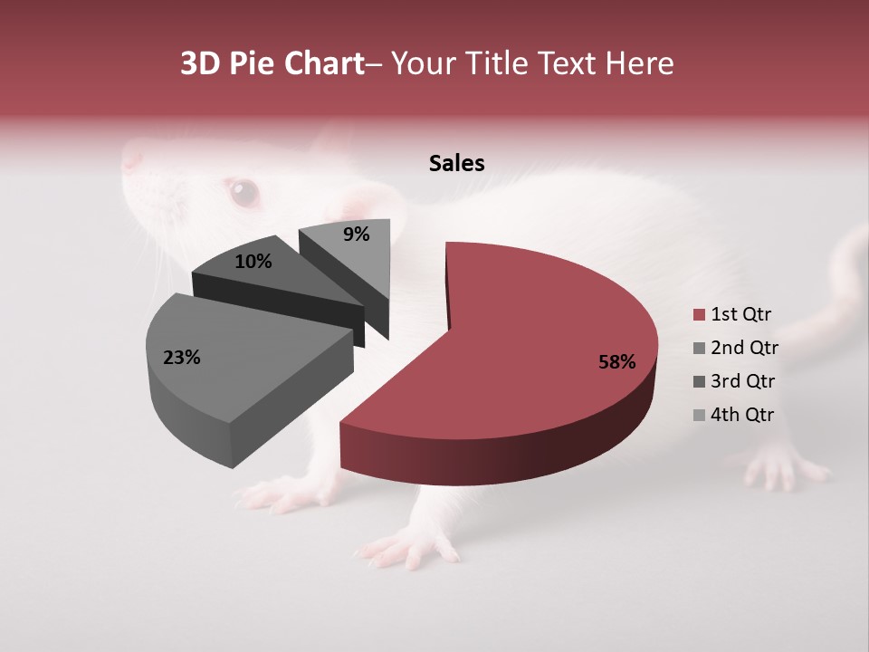 Pet Rodent Pest PowerPoint Template