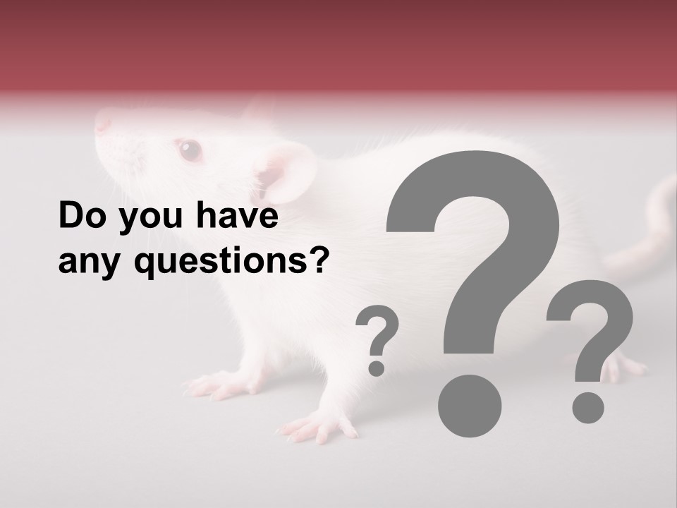 Pet Rodent Pest PowerPoint Template