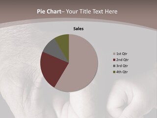 Happiness Harmony Male PowerPoint Template