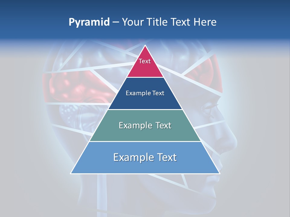 A Blue Man's Head With A Red Brain In It PowerPoint Template