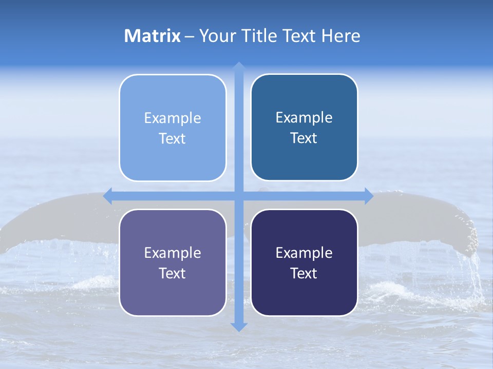 Black Large Whale PowerPoint Template