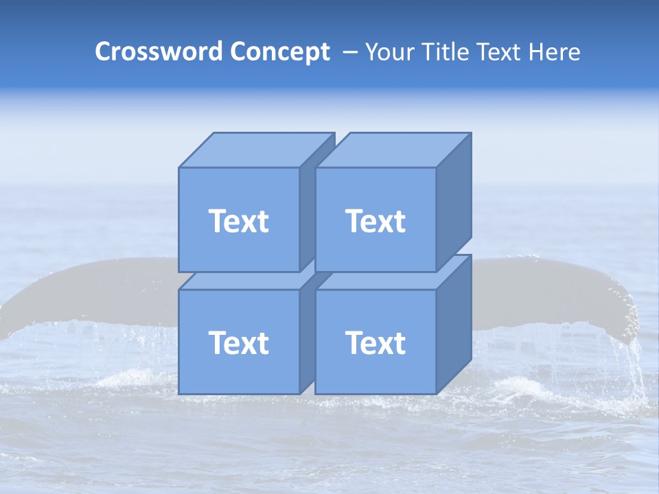 Black Large Whale PowerPoint Template