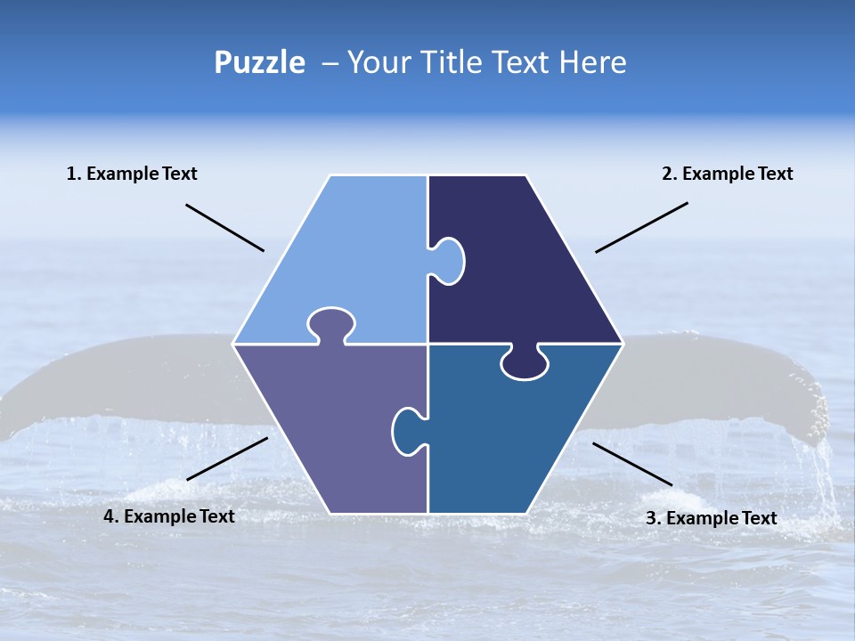 Black Large Whale PowerPoint Template