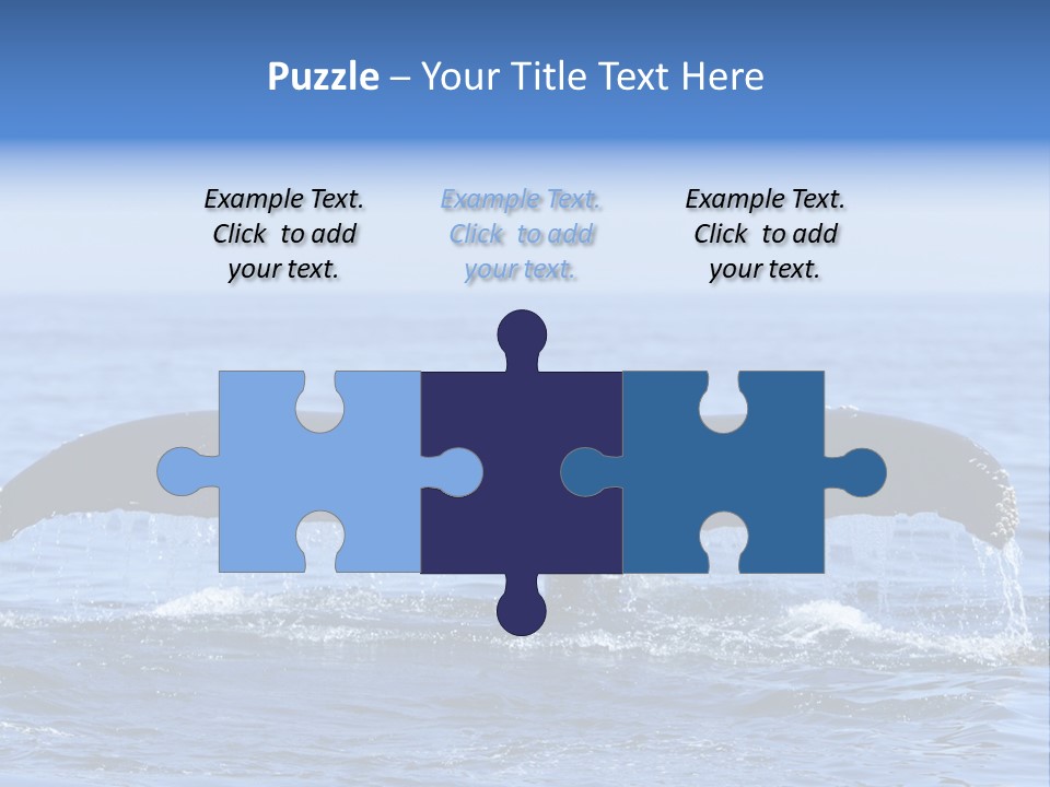 Black Large Whale PowerPoint Template