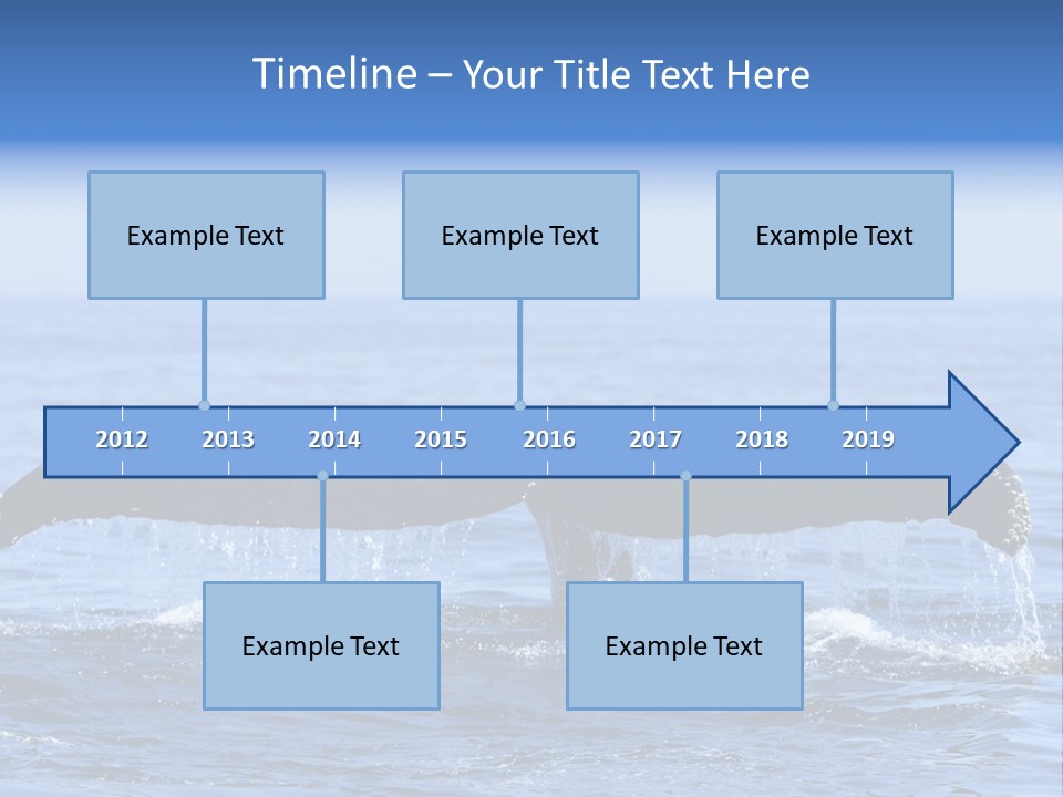 Black Large Whale PowerPoint Template