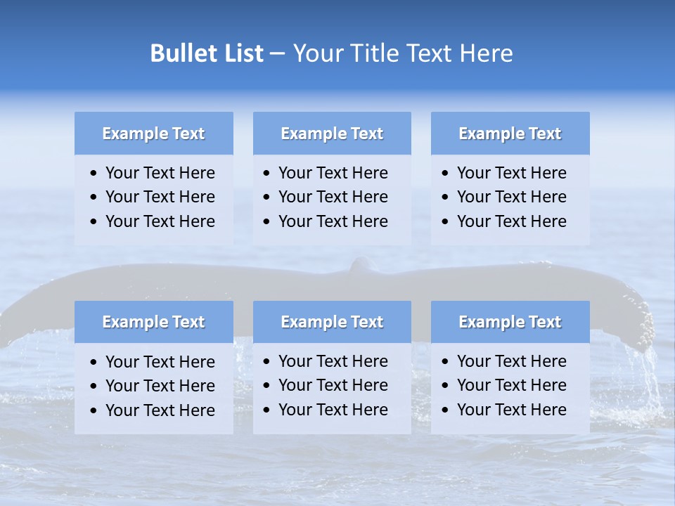 Black Large Whale PowerPoint Template