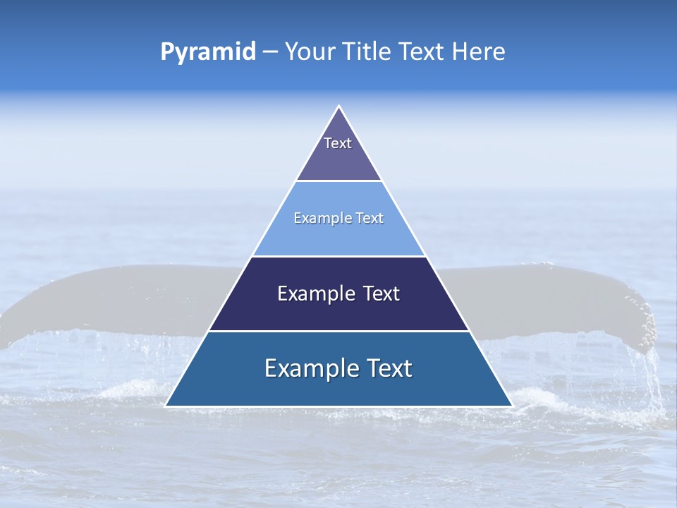 Black Large Whale PowerPoint Template