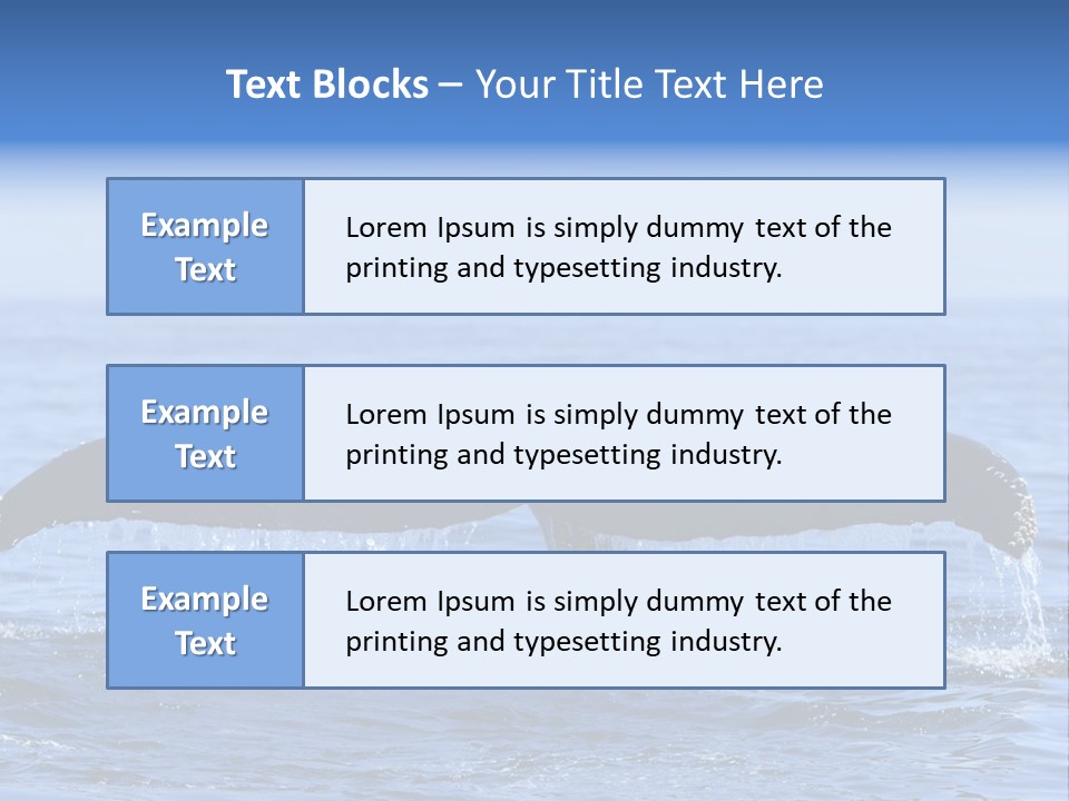 Black Large Whale PowerPoint Template