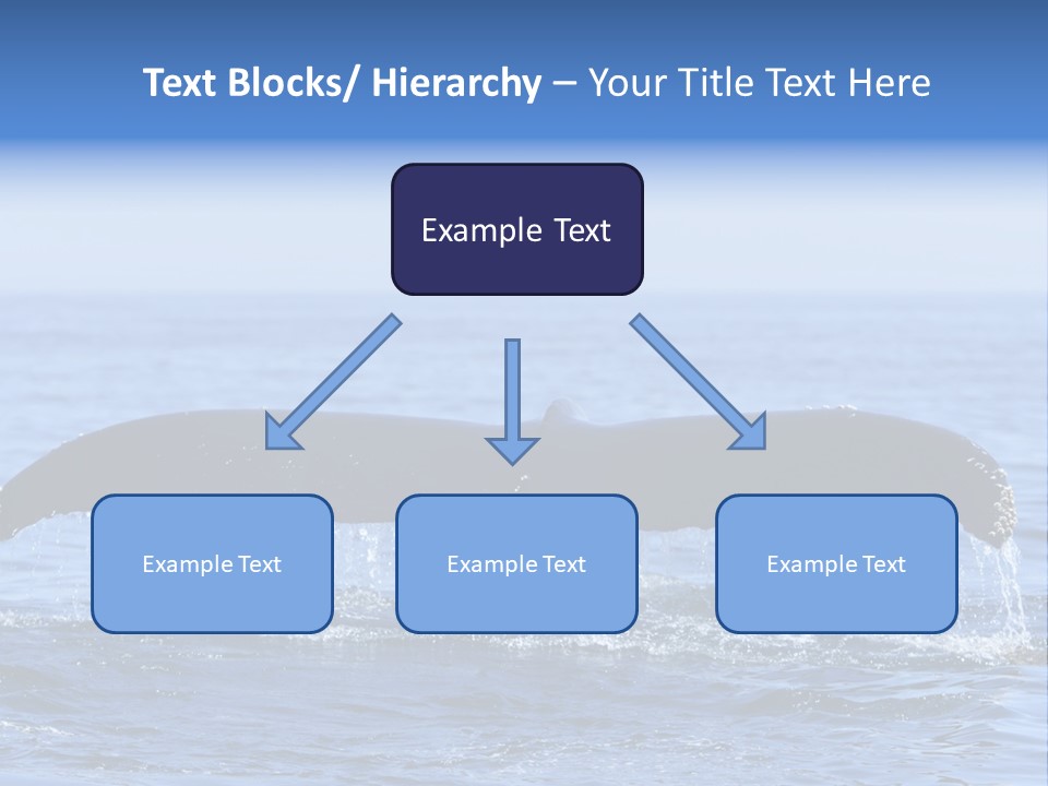 Black Large Whale PowerPoint Template