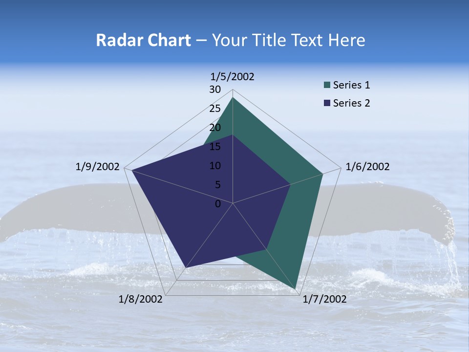 Black Large Whale PowerPoint Template