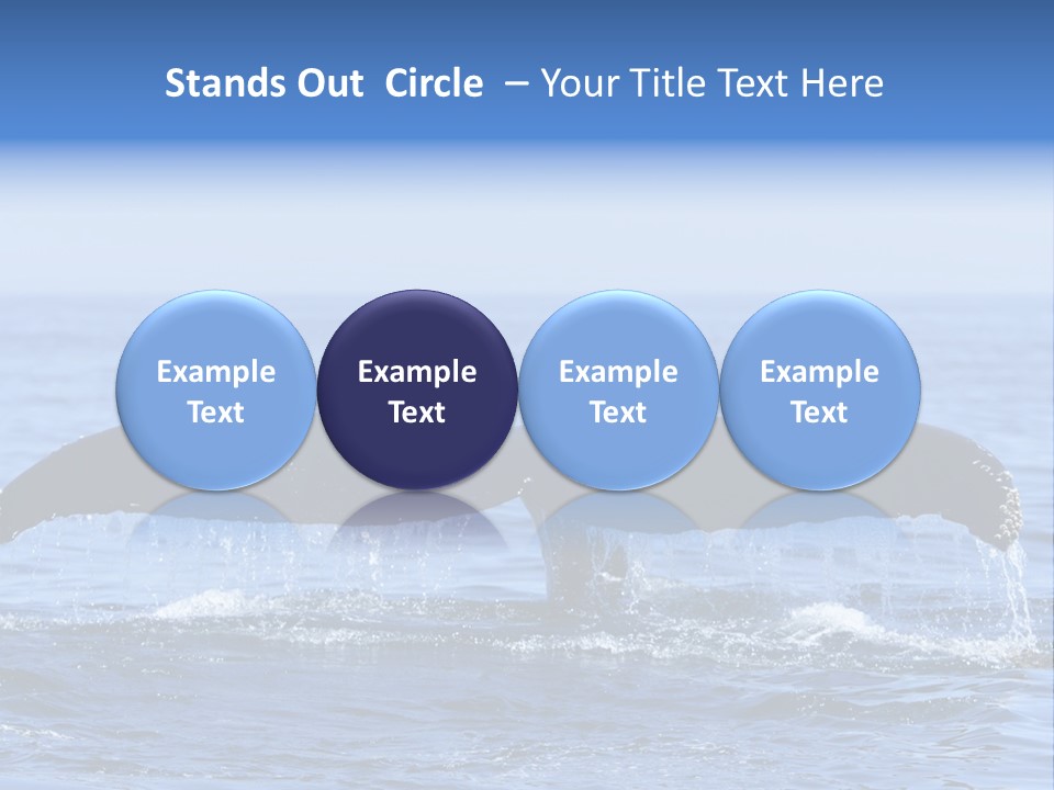 Black Large Whale PowerPoint Template