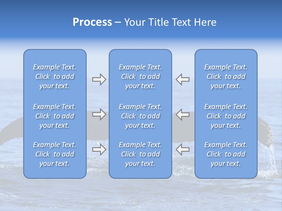 Black Large Whale PowerPoint Template