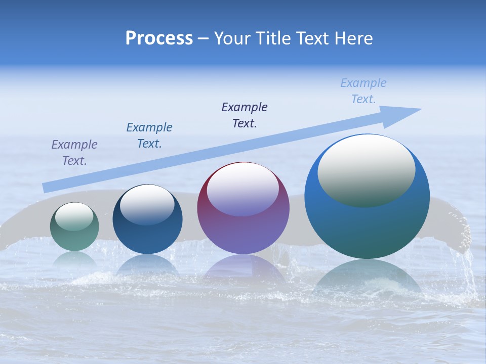 Black Large Whale PowerPoint Template