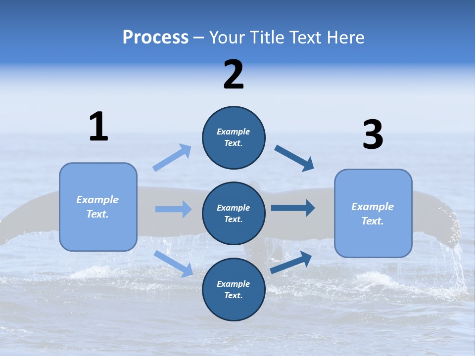 Black Large Whale PowerPoint Template