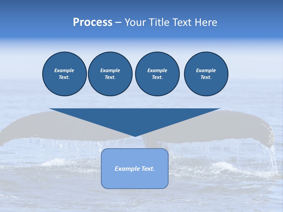 Black Large Whale PowerPoint Template