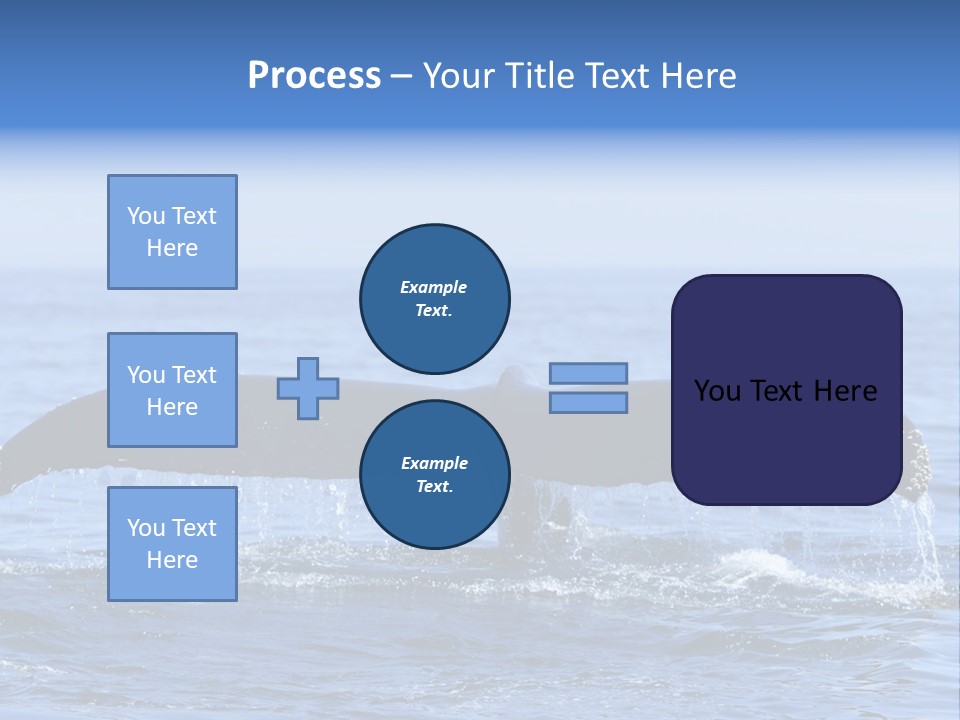 Black Large Whale PowerPoint Template