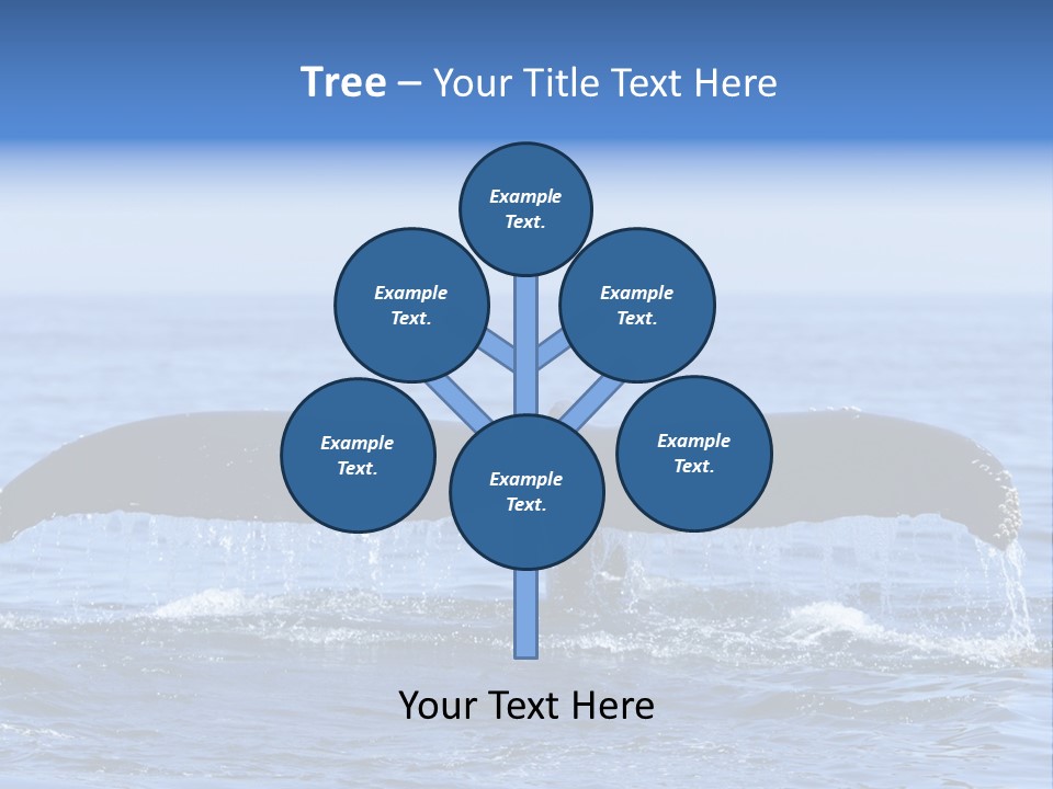 Black Large Whale PowerPoint Template