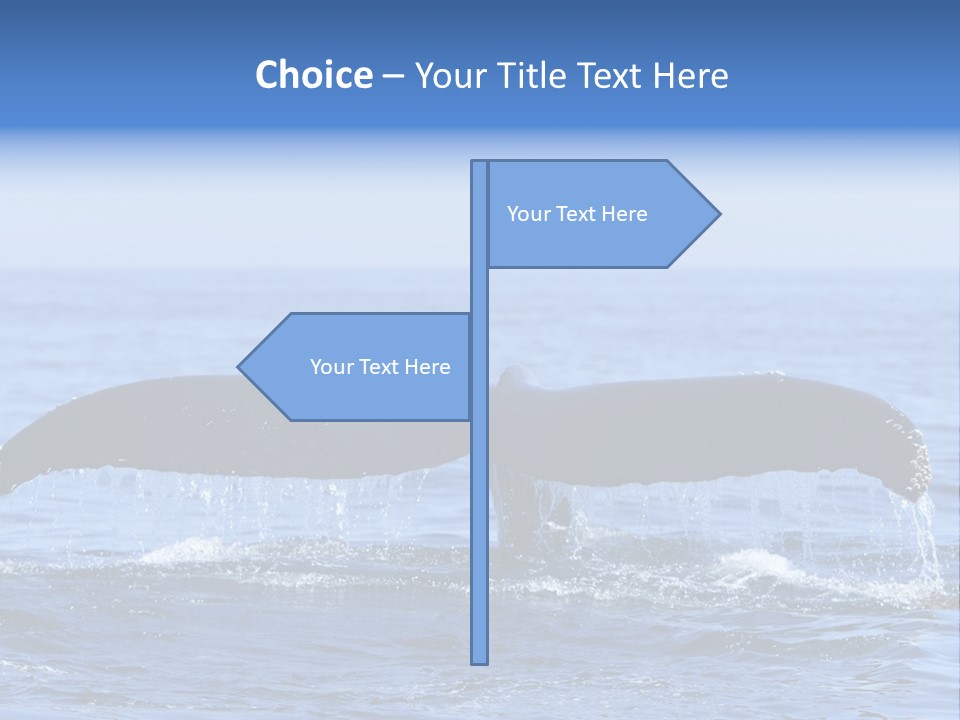 Black Large Whale PowerPoint Template