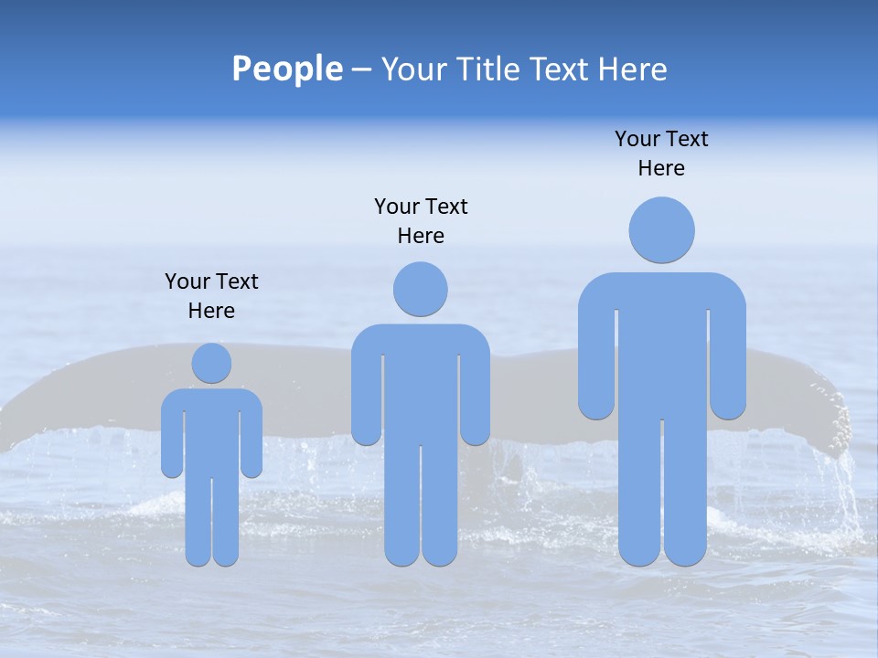 Black Large Whale PowerPoint Template