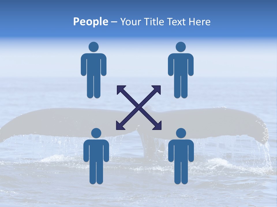 Black Large Whale PowerPoint Template