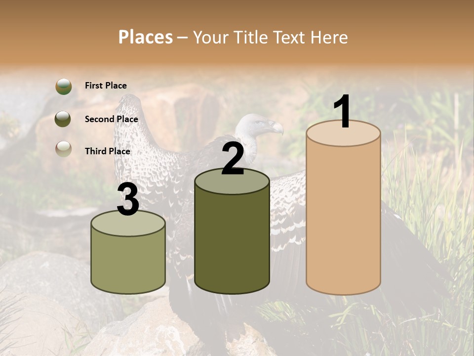 Aloft Long Soaring PowerPoint Template