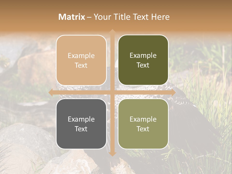 Aloft Long Soaring PowerPoint Template