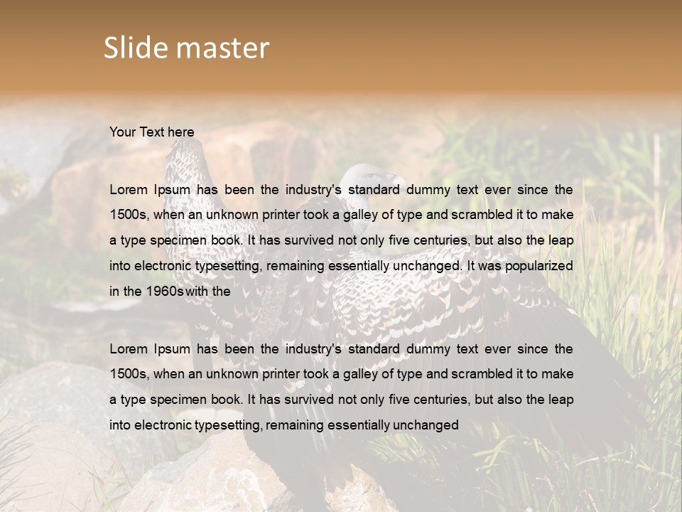 Aloft Long Soaring PowerPoint Template