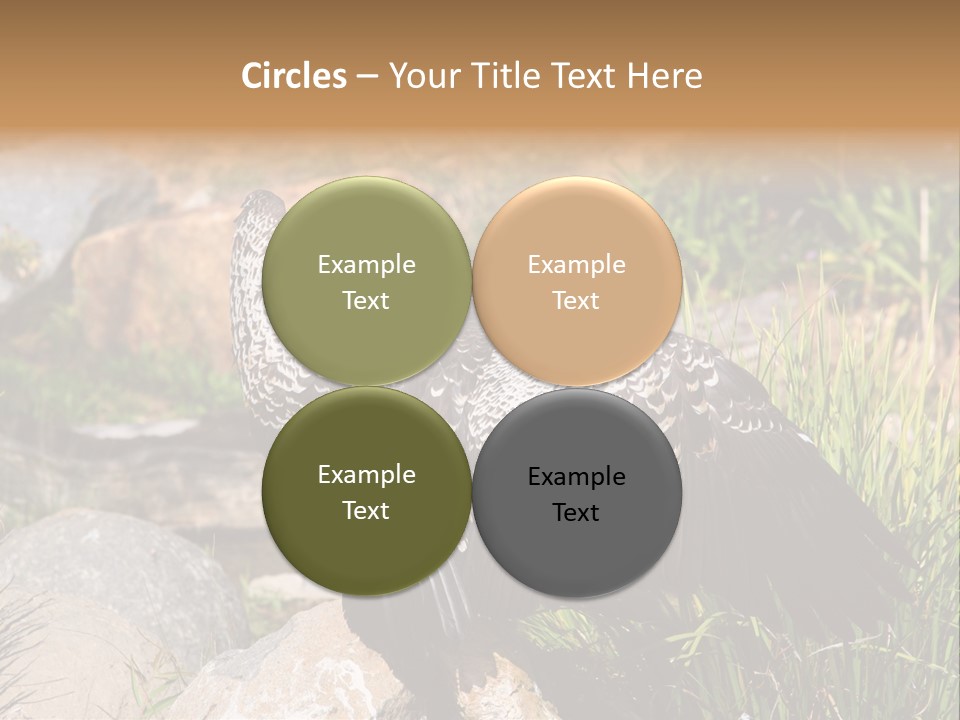 Aloft Long Soaring PowerPoint Template