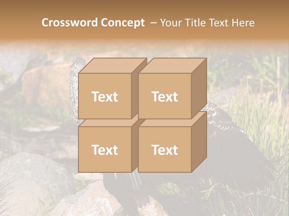Aloft Long Soaring PowerPoint Template
