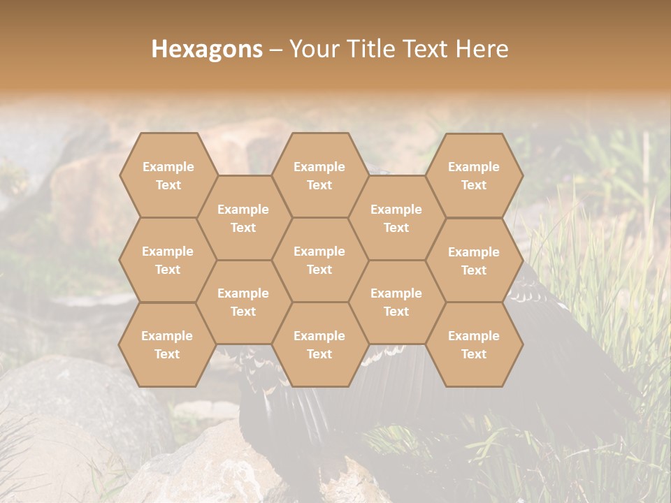 Aloft Long Soaring PowerPoint Template