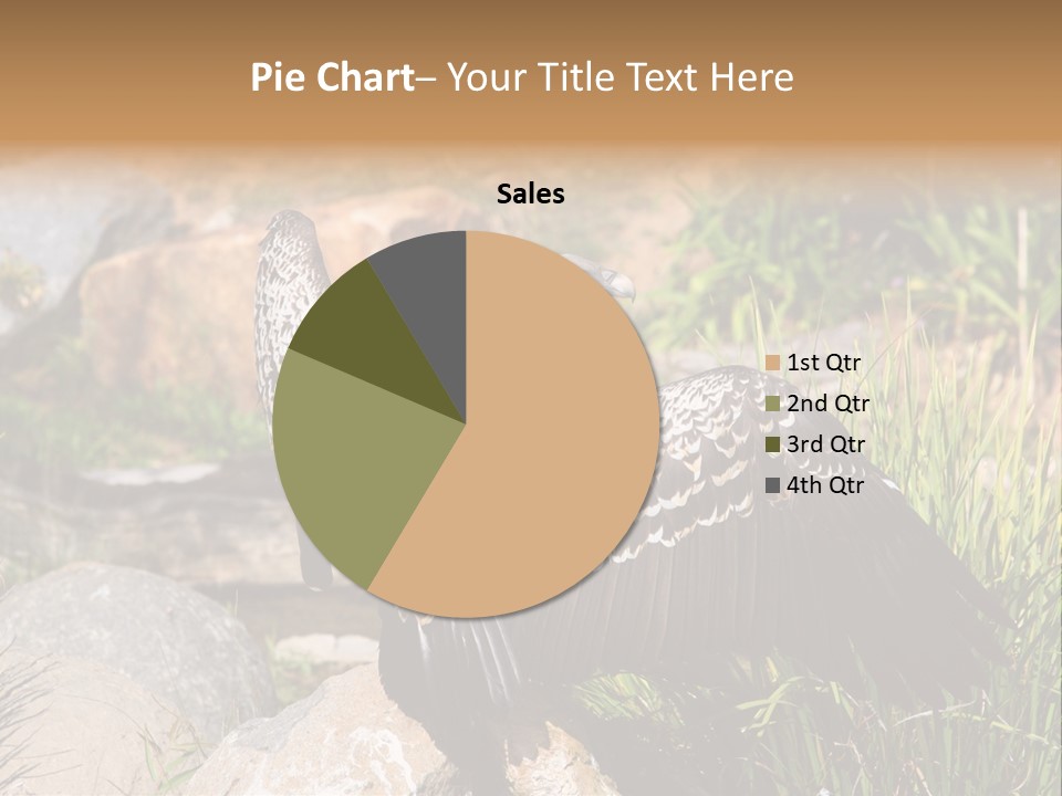 Aloft Long Soaring PowerPoint Template