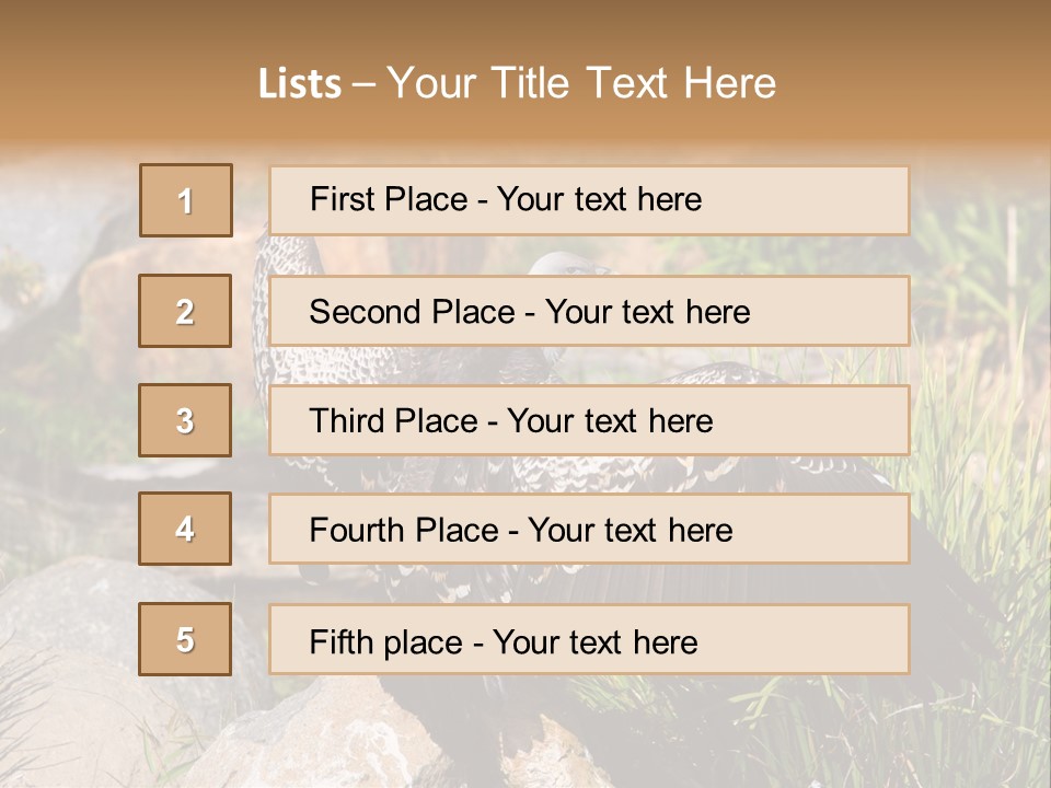 Aloft Long Soaring PowerPoint Template