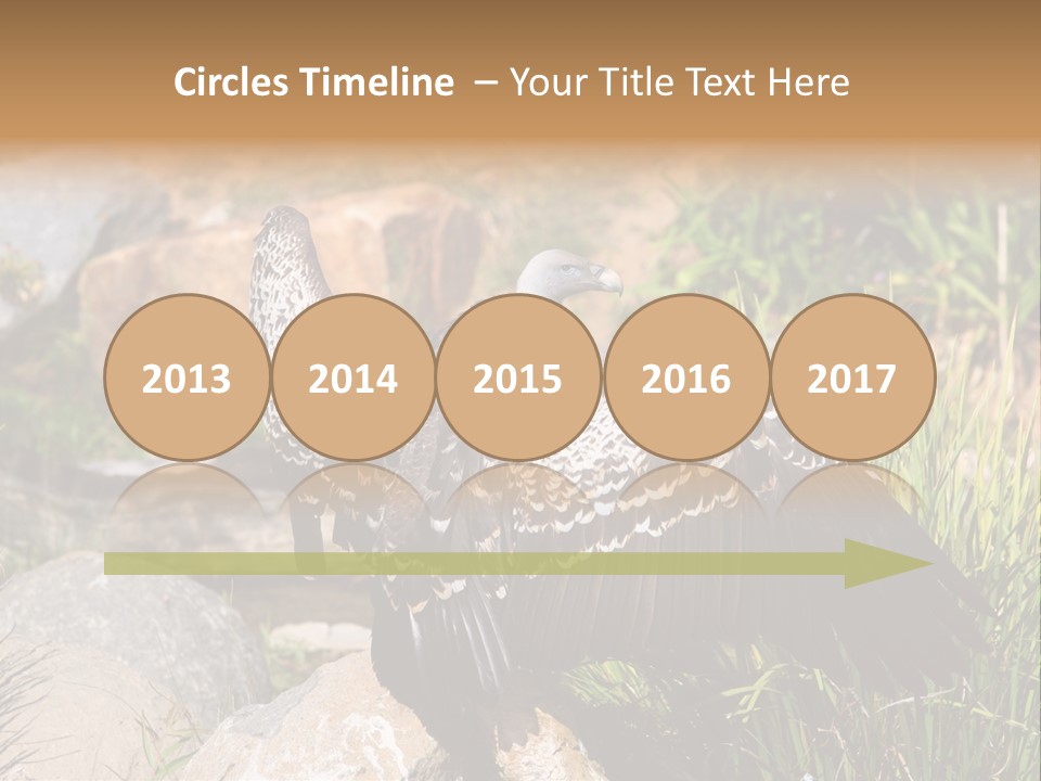 Aloft Long Soaring PowerPoint Template