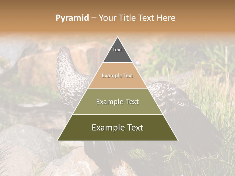 Aloft Long Soaring PowerPoint Template